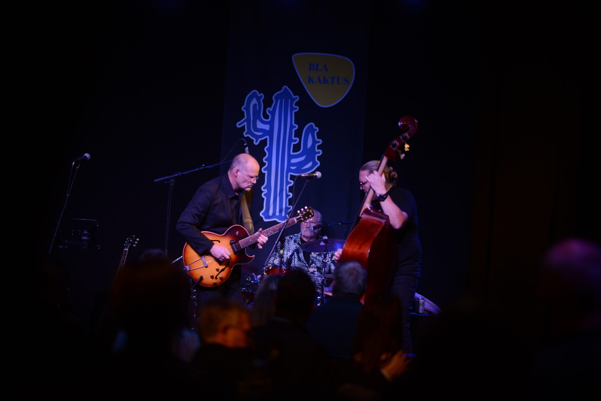 Greyhound Blues live på scen vid Blå Kaktus